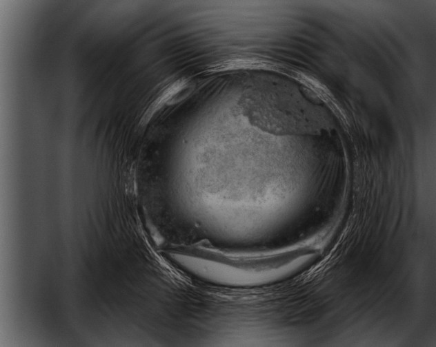 X0000052641241200507160148