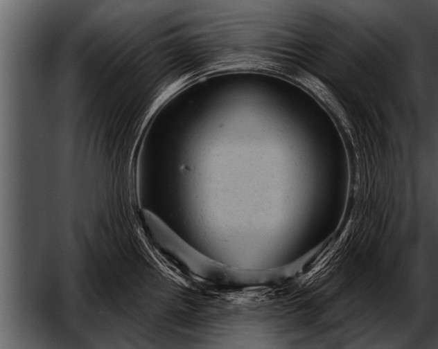 X0000052641242200507160148