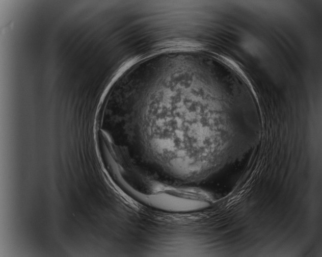 X0000052641243200507160148