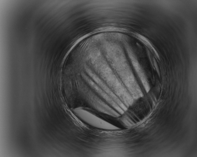 X0000052641244200507160148