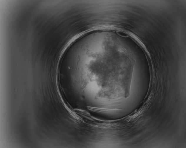 X0000052641245200507160148