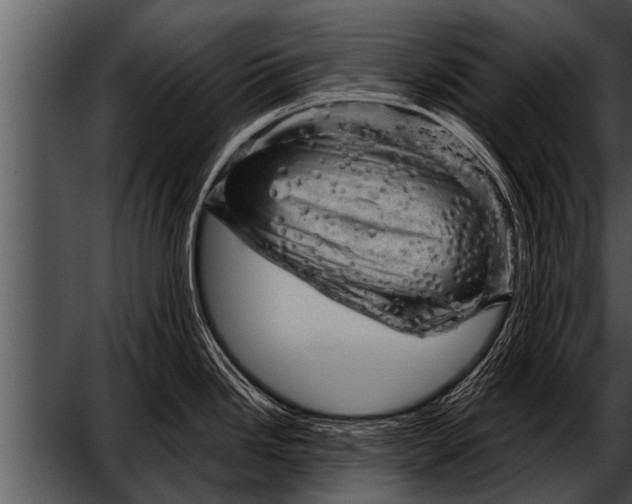 X0000052641246200507160148