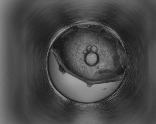 X0000052641247200507160148