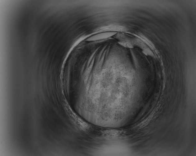 X0000052641248200507160148