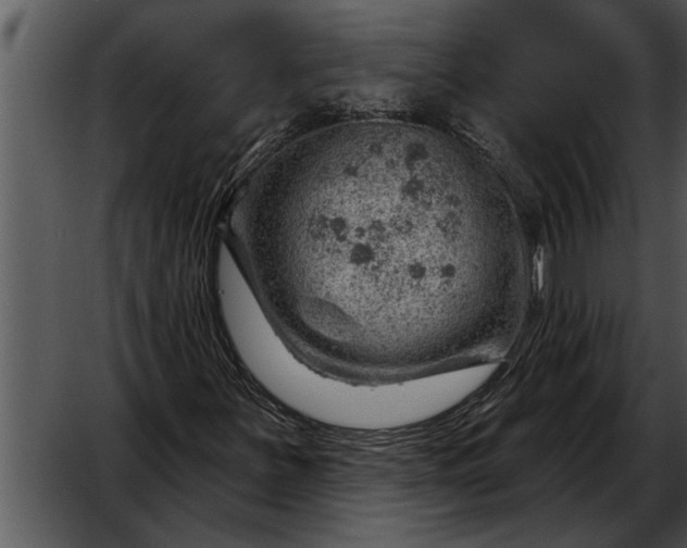 X0000052641251200507160148