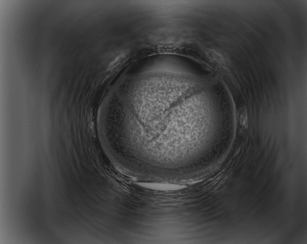 X0000052641252200507160148