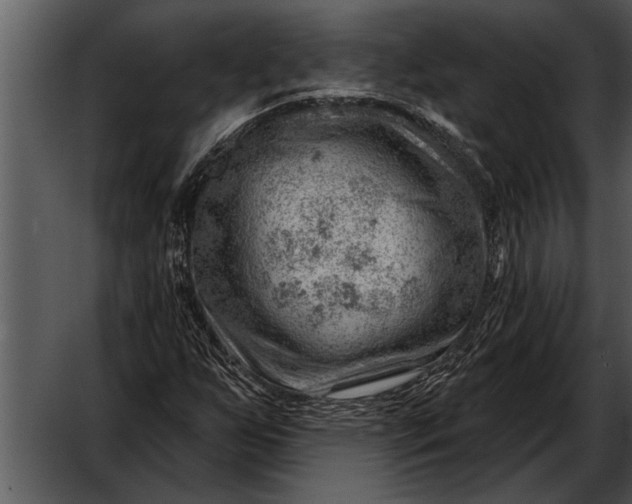 X0000052641255200507160147