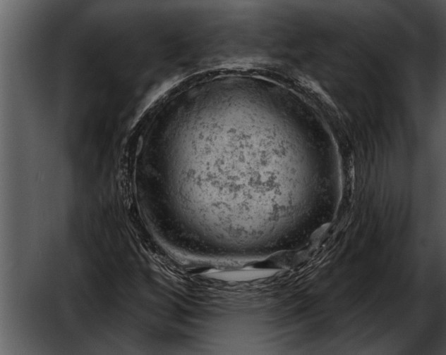 X0000052641256200507160147