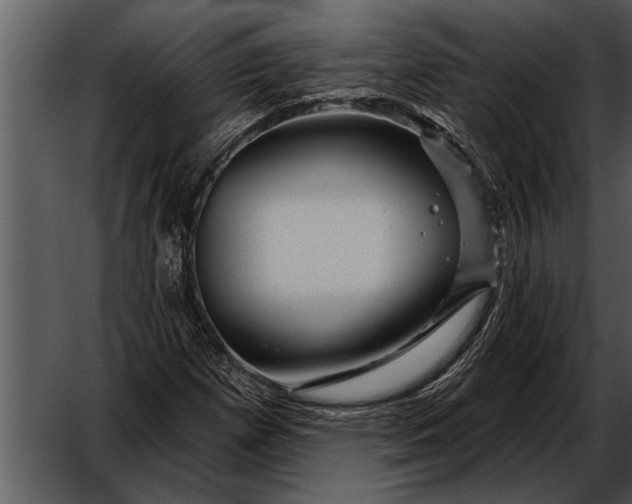 X0000052641257200507160147