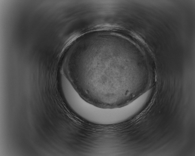 X0000052641259200507160147