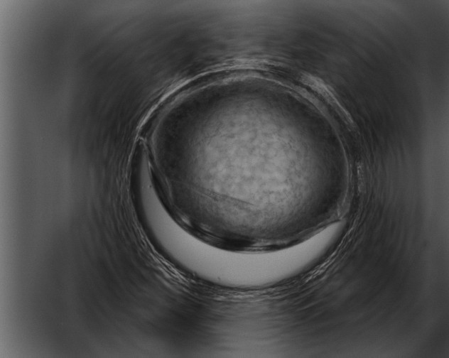 X0000052641260200507160147