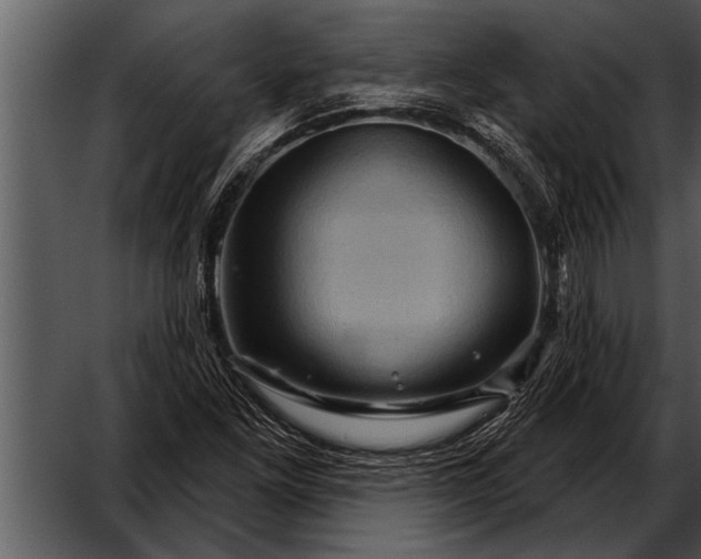 X0000052641261200507160147