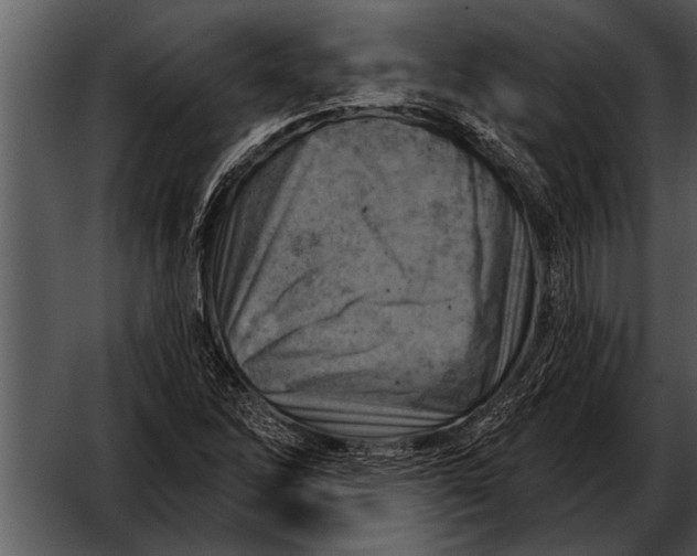 X0000052641262200507160147