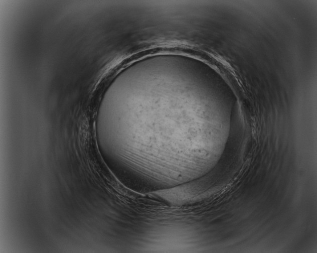 X0000052641263200507160147