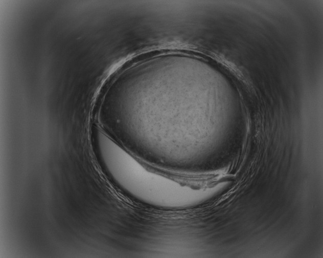 X0000052641264200507160147