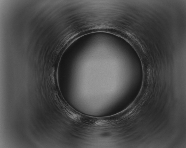 X0000052641265200507160147