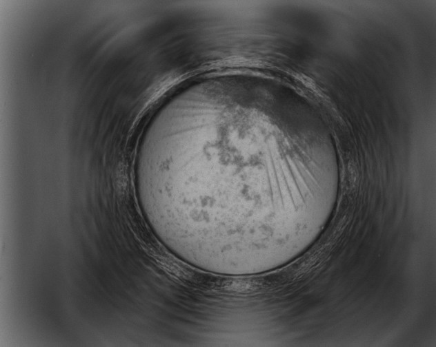 X0000052641266200507160147