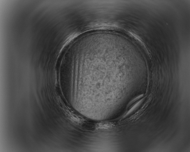 X0000052641267200507160147