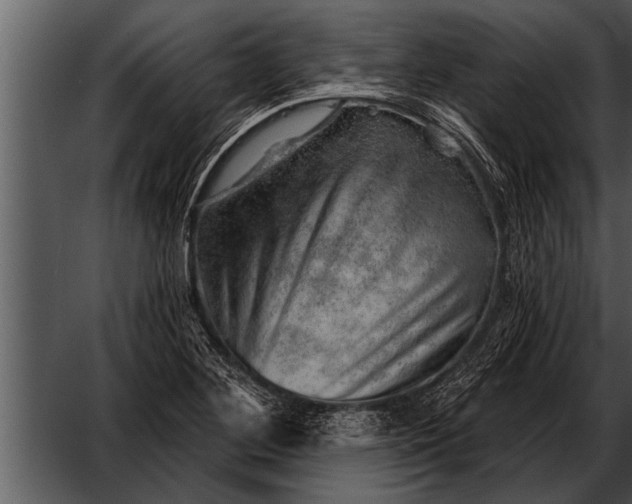 X0000052641268200507160147