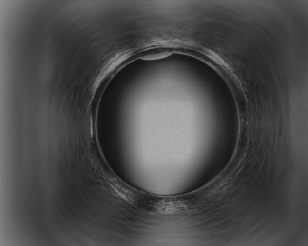 X0000052641269200507160147