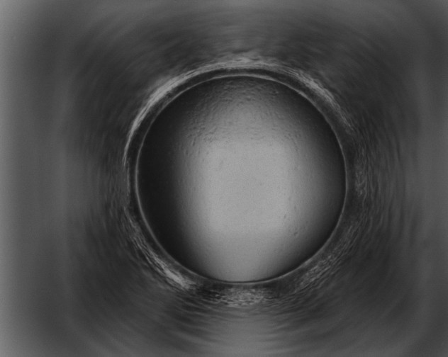 X0000052641270200507160147