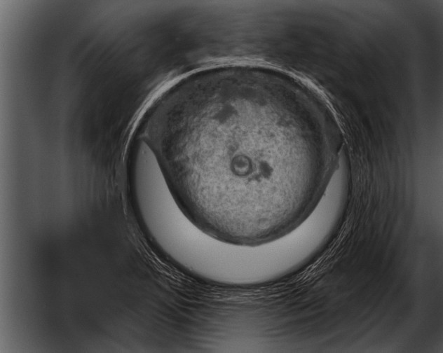 X0000052641271200507160147