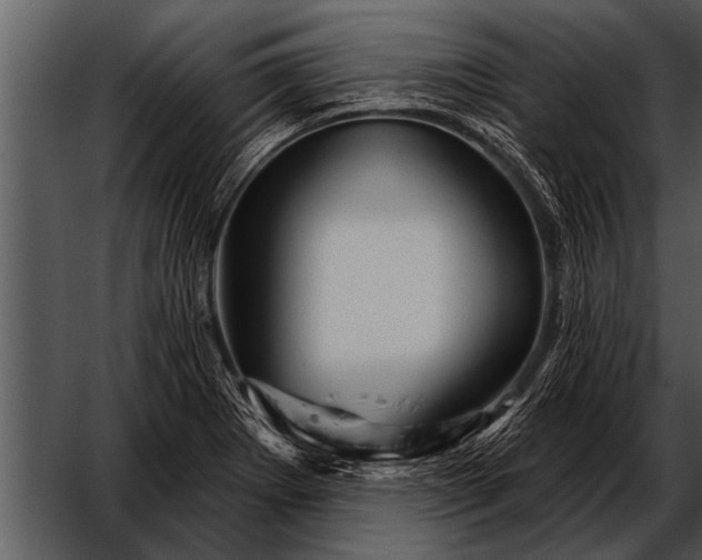 X0000052641273200507160147