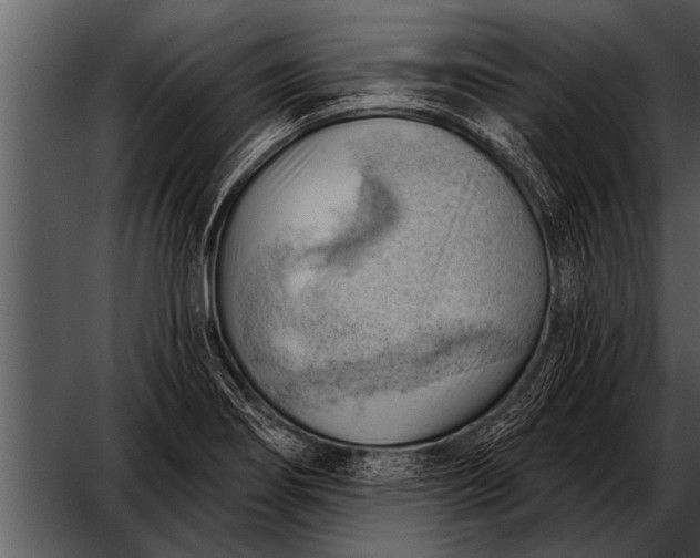 X0000052641274200507160147