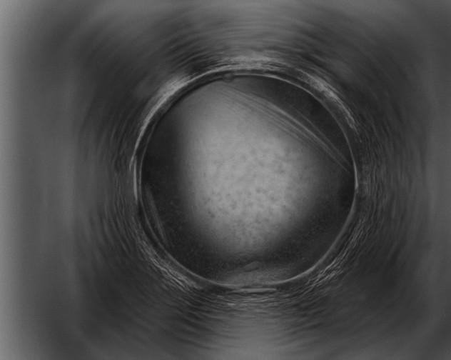 X0000052641275200507160147