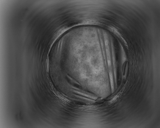 X0000052641276200507160147