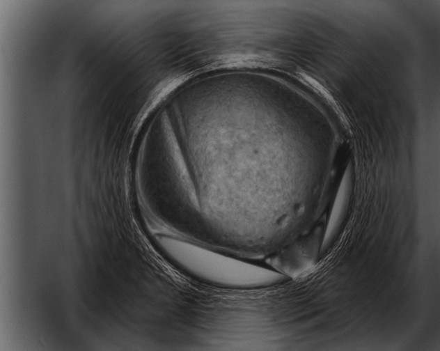 X0000052641277200507160147