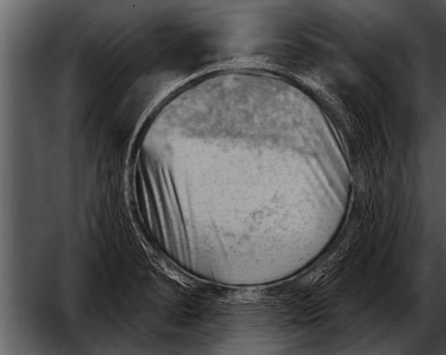 X0000052641278200507160147