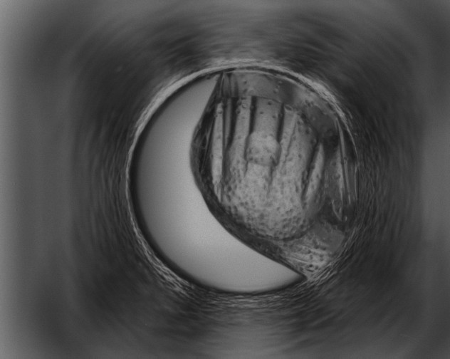 X0000052641279200507160147