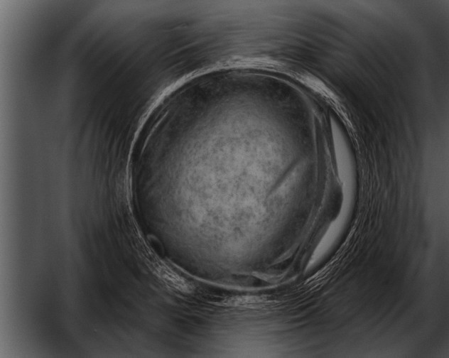 X0000052641280200507160147