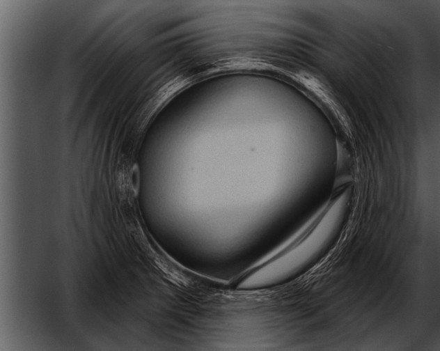 X0000052641281200507160147