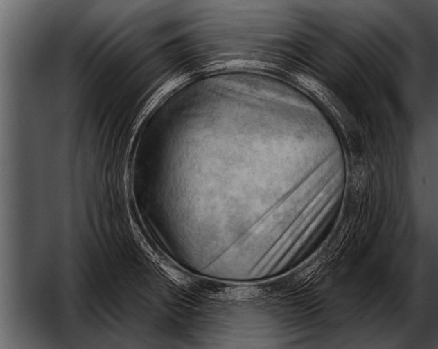 X0000052641282200507160147