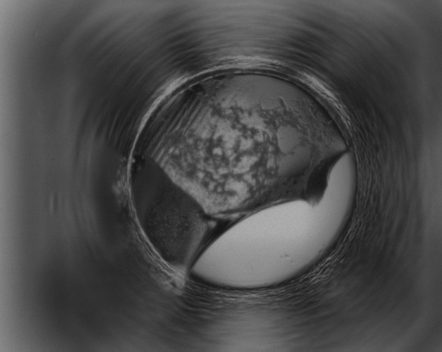 X0000052641283200507160147