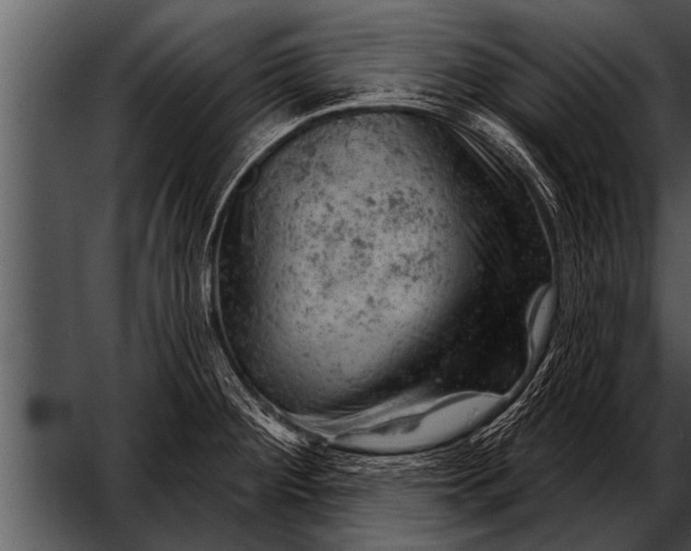 X0000052641284200507160147