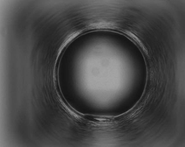 X0000052641285200507160147