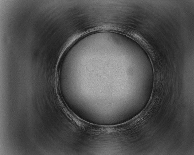 X0000052641286200507160147