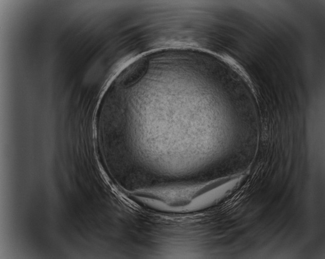 X0000052641287200507160147