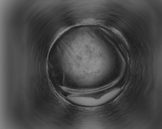 X0000052641288200507160147