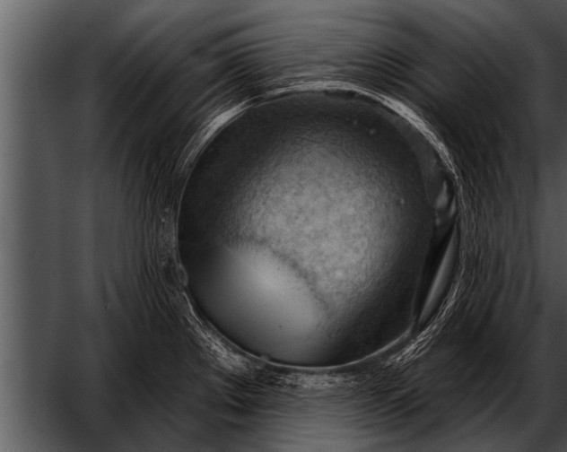 X0000052641289200507160147