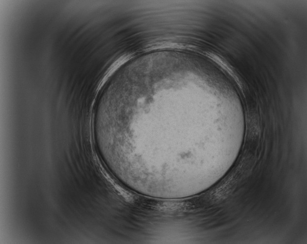 X0000052641290200507160147