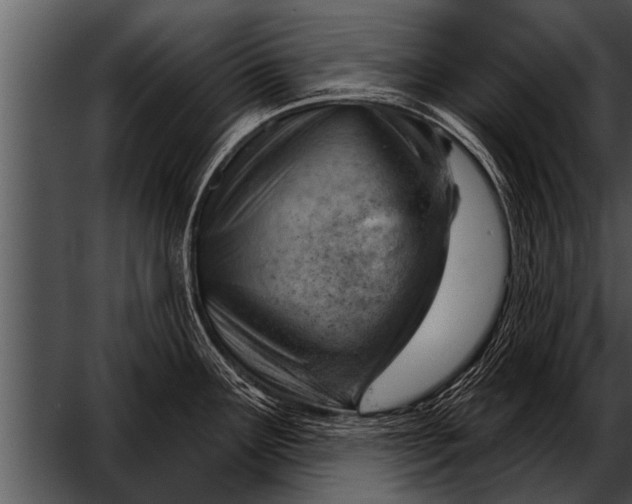 X0000052641291200507160147