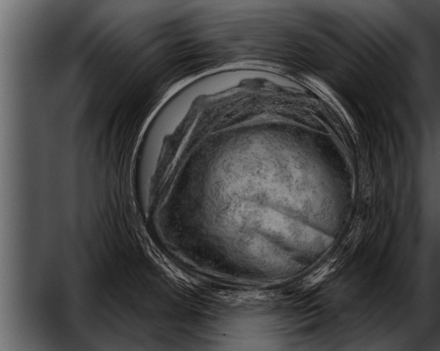 X0000052641292200507160147