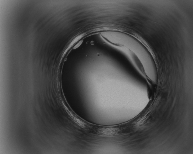 X0000052641293200507160147