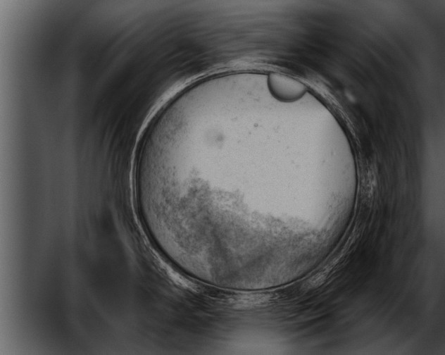 X0000052641294200507160147