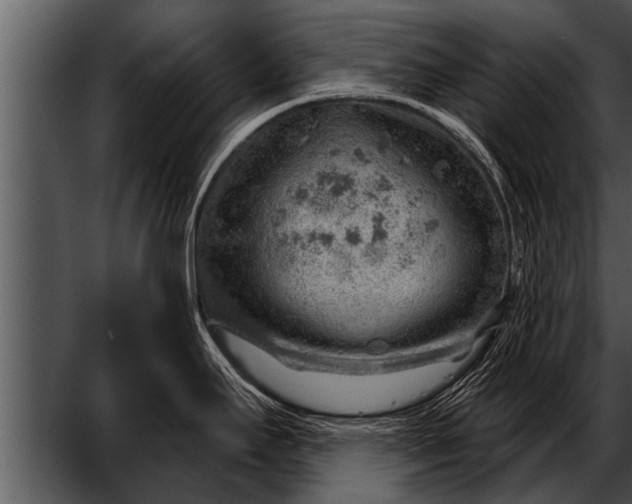 X0000052641295200507160147