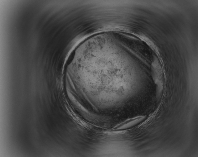 X0000052641296200507160147